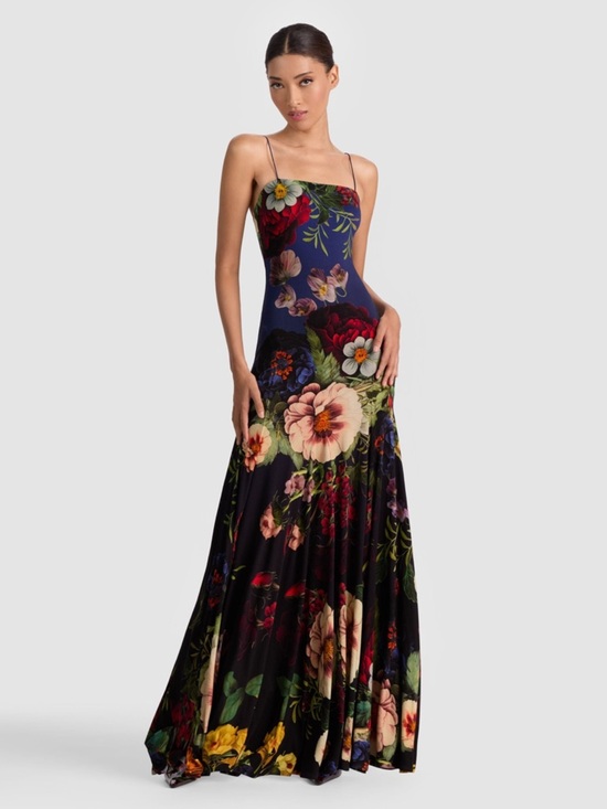 Alice + Olivia Dresses & Skirts - new Alice and Olivia Augusta maxi dress in magic garden gradient floral